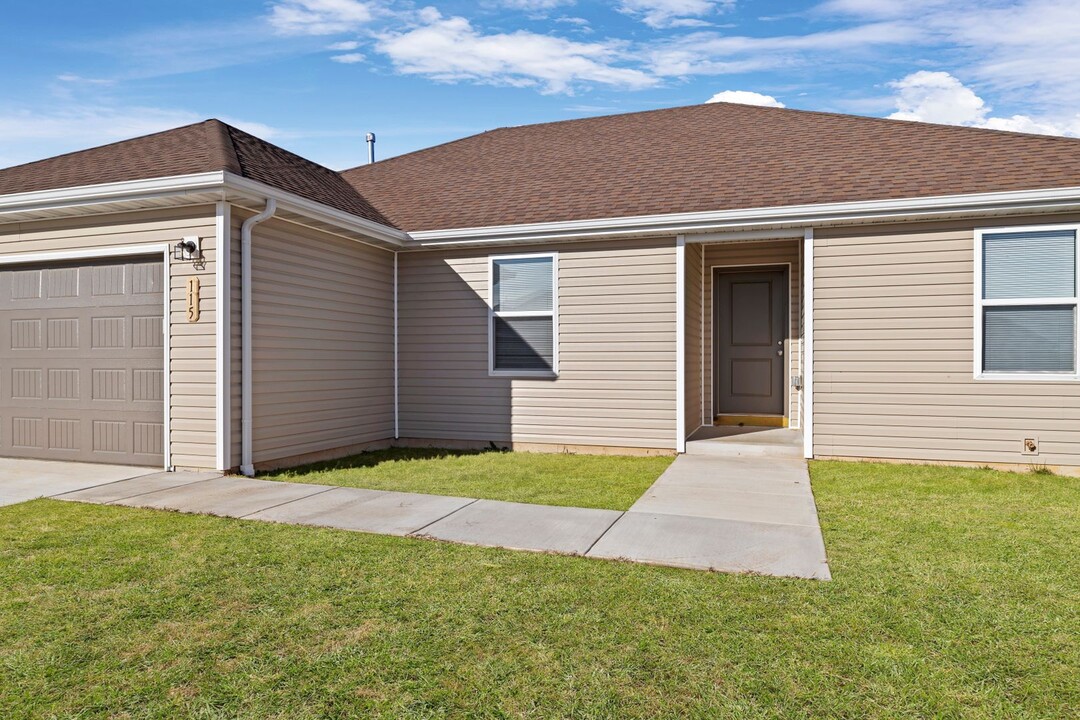 115 Silver Maple Dr in Aurora, MO - Building Photo