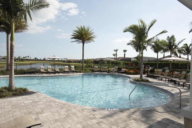 3006 Duomo Ct in Bradenton, FL - Building Photo - Building Photo