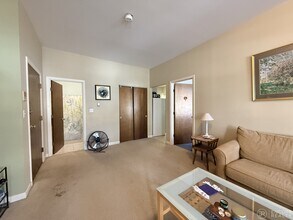 17 Stearns Rd in Brookline, MA - Foto de edificio - Building Photo