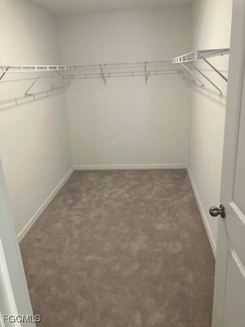 property at 12145 Savanna Lks Blvd