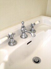 22 Lyon St, Unit 1 floor walkout garden in New Haven, CT - Building Photo - Building Photo