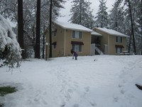 Oakhurst Apartments in Oakhurst, CA - Building Photo - Building Photo