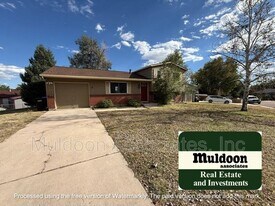 1253 Nez Perce Dr in Colorado Springs, CO - Building Photo