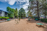 Legacy Pines in Flagstaff, AZ - Building Photo - Building Photo