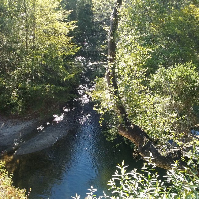 81 E Garzas Rd Apartments and Nearby Carmel Valley Apartments For Rent