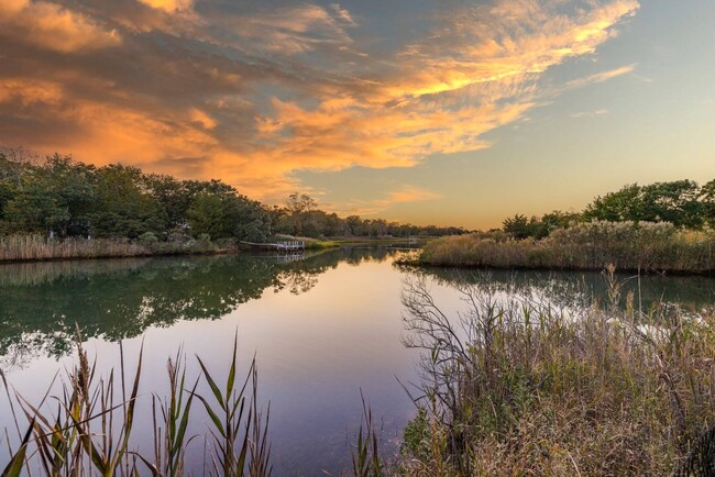 29 Morris Cove Ln in Sag Harbor, NY - Building Photo - Building Photo