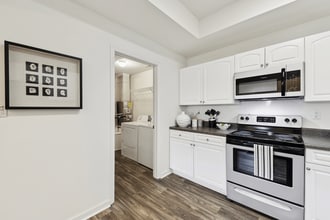 Forest Ridge Apartments in Knoxville, TN - Building Photo - Building Photo