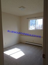 3217 W Bijou St in Colorado Springs, CO - Building Photo - Building Photo