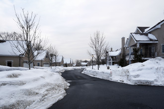 Newton Terraces in Newton, MA - Building Photo - Building Photo