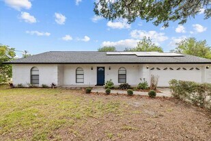 11218 Creek View Dr in Riverview, FL - Building Photo