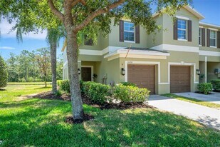 20459 Berrywood Ln in Tampa, FL - Building Photo