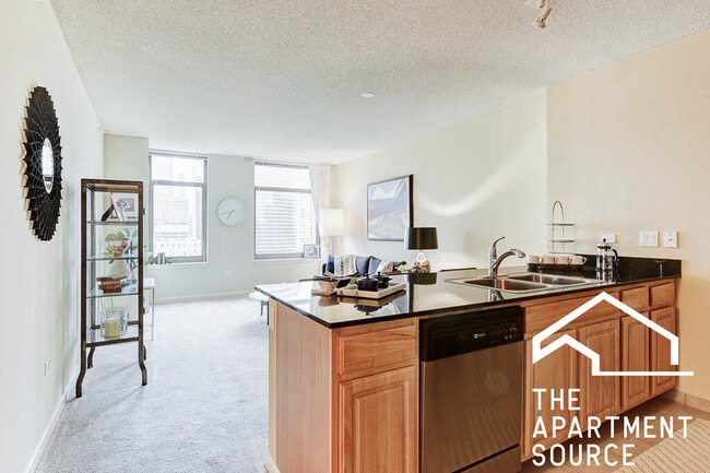 353 N Desplaines St in Chicago, IL - Building Photo - Building Photo