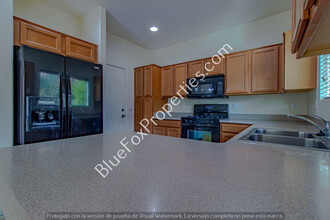 1713 W Gentle Brook Trail in Tucson, AZ - Building Photo - Building Photo