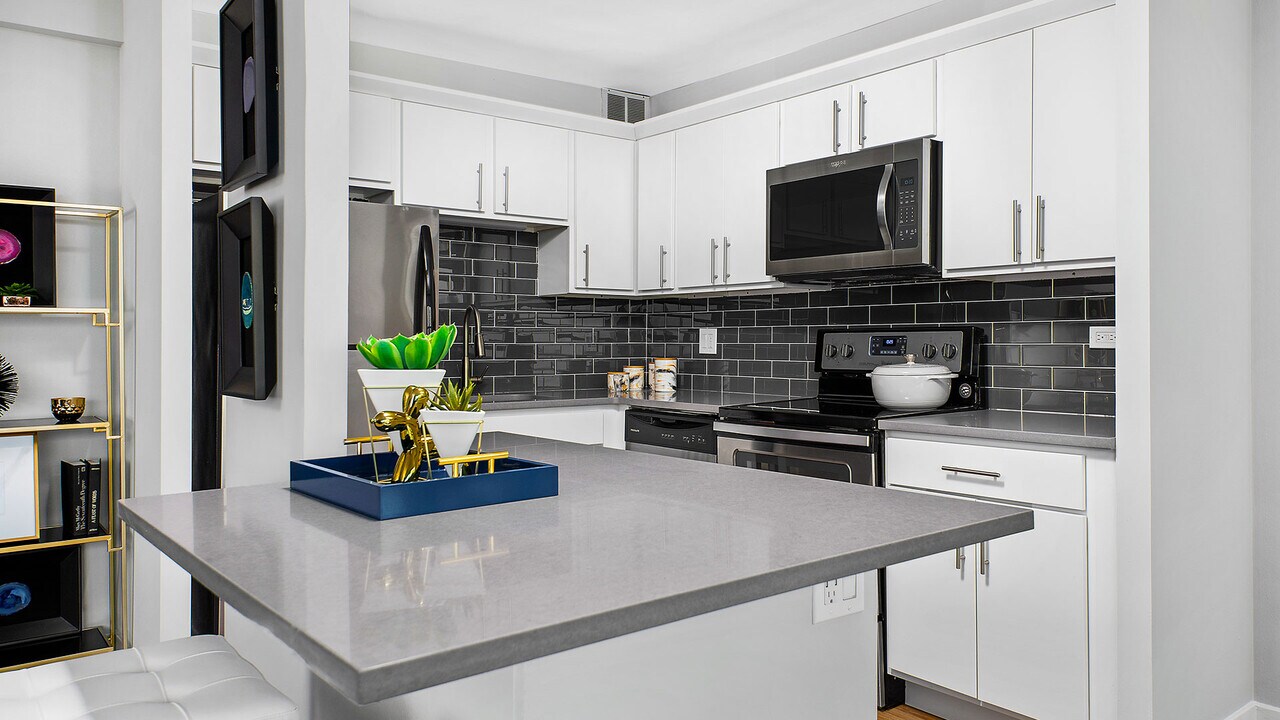 1100 S Michigan Ave, Unit 2715 in Chicago, IL - Building Photo
