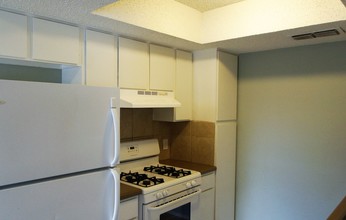 Pecan Creek Apartments in Austin, TX - Building Photo - Building Photo