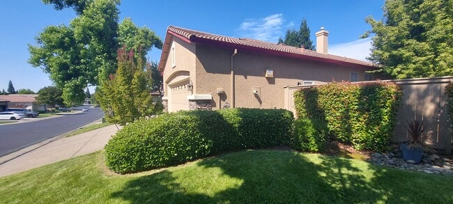 1142 Sinclair Way in Roseville, CA - Building Photo - Building Photo