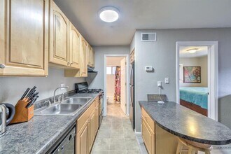 3844 Park Ave in St. Louis, MO - Building Photo - Building Photo