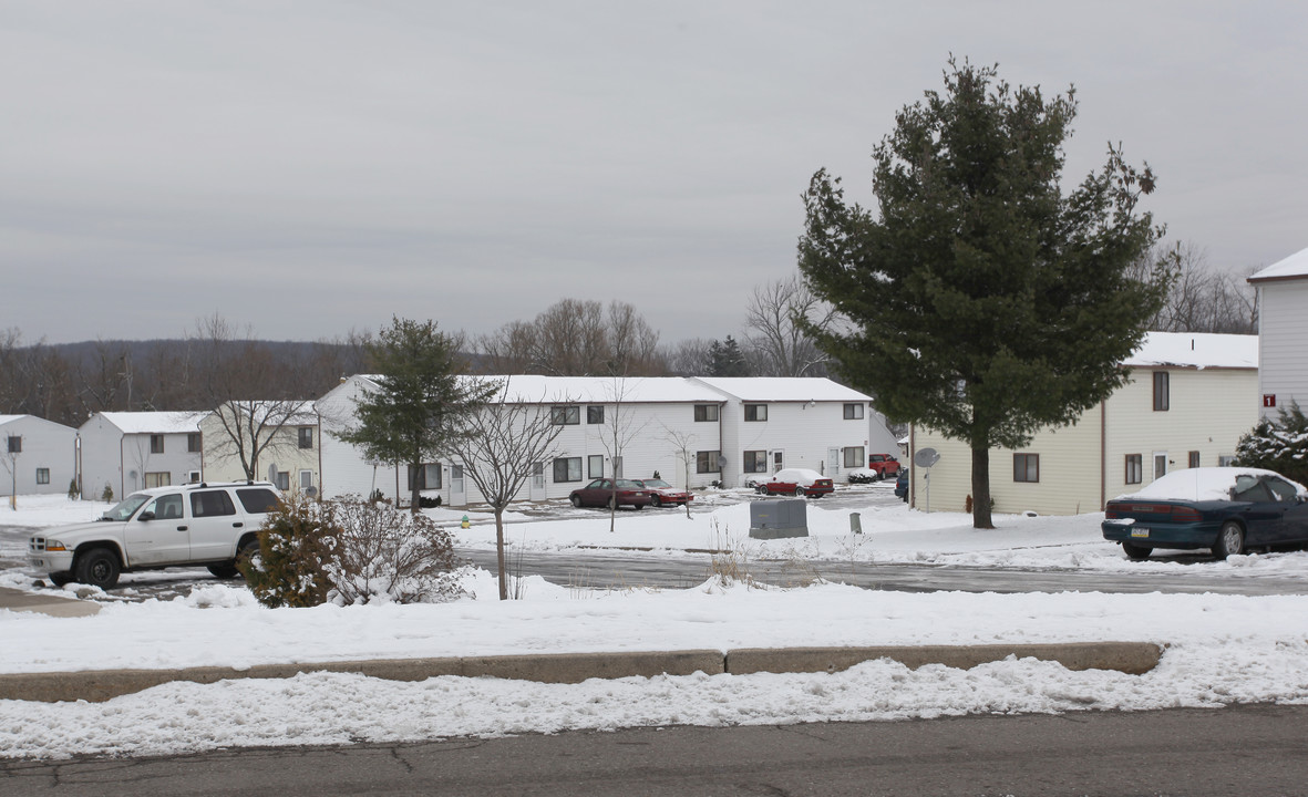 Freeland Village Apartments in Freeland, PA - Foto de edificio