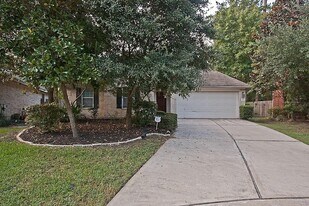 43 Steep Trail Pl in Conroe, TX - Building Photo