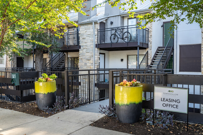 Townhollow Apartments in Austin, TX - Foto de edificio - Building Photo