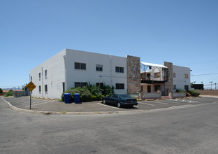 1031 N Holly Pl in Tucson, AZ - Building Photo - Building Photo