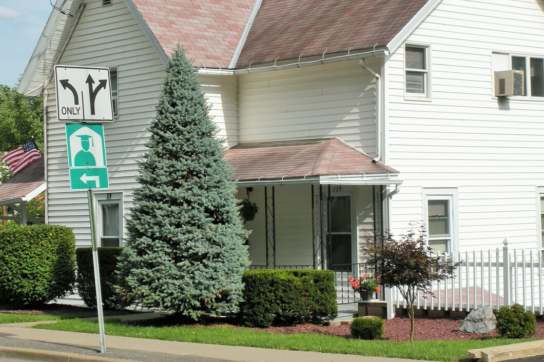 119 Chestnut St, Unit 3 in Oneonta, NY - Foto de edificio