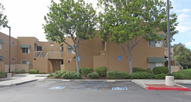 Beech Street Knoll Apartments in San Diego, CA - Building Photo - Building Photo