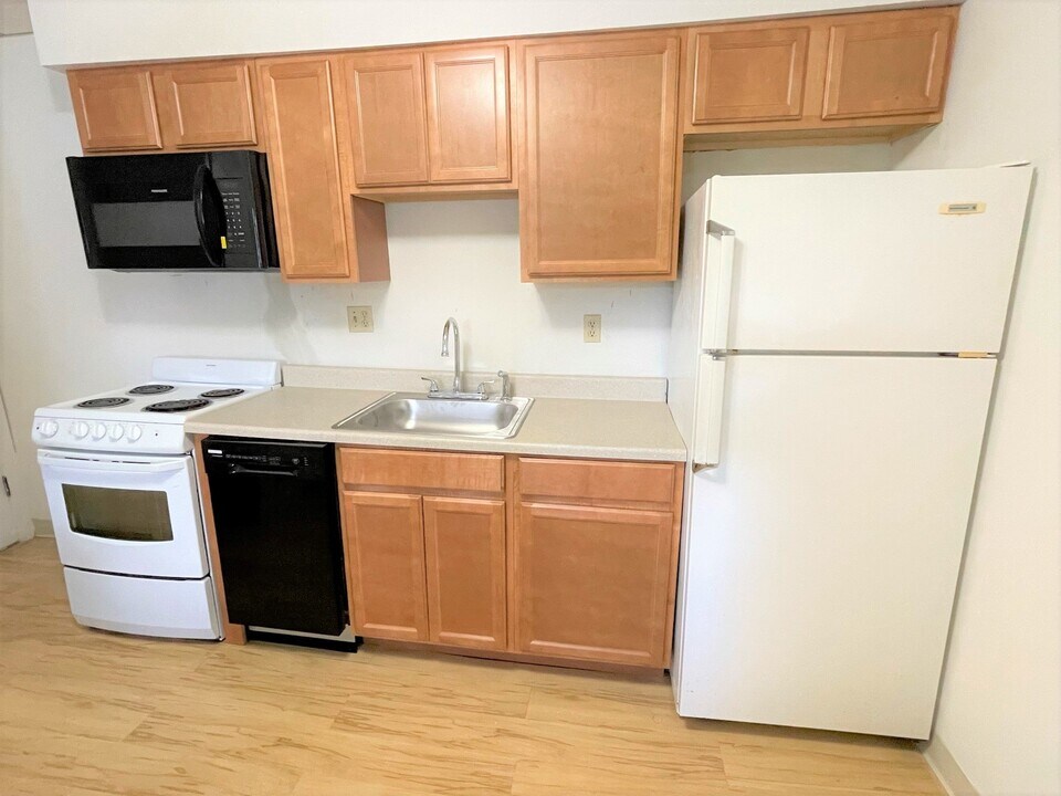 2419 Beechwood Blvd in Pittsburgh, PA - Building Photo