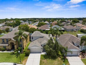 10723 Eveningwood Ct in Trinity, FL - Building Photo - Building Photo
