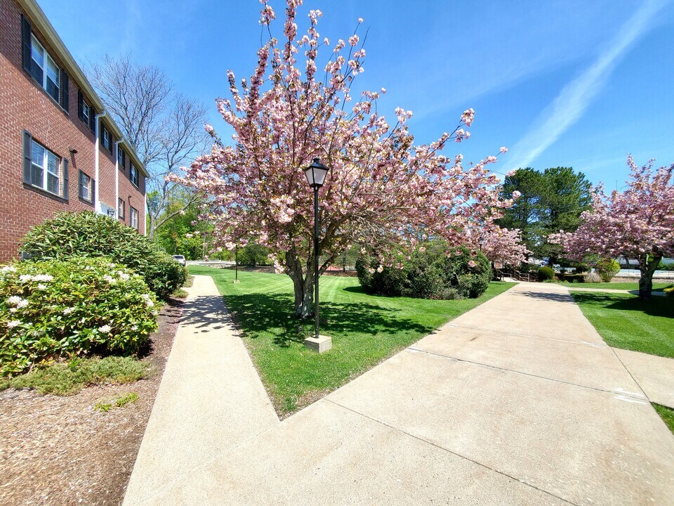 10 Marlboro Rd, Unit 1Br in Woburn, MA - Foto de edificio