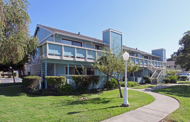 Meadows Apartments in Novato, CA - Foto de edificio - Building Photo