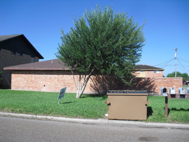 207 Gastel Cir in Edinburg, TX - Foto de edificio