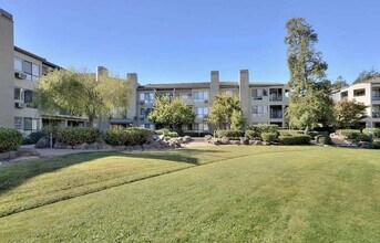 39078 Guardino Dr in Fremont, CA - Building Photo - Building Photo