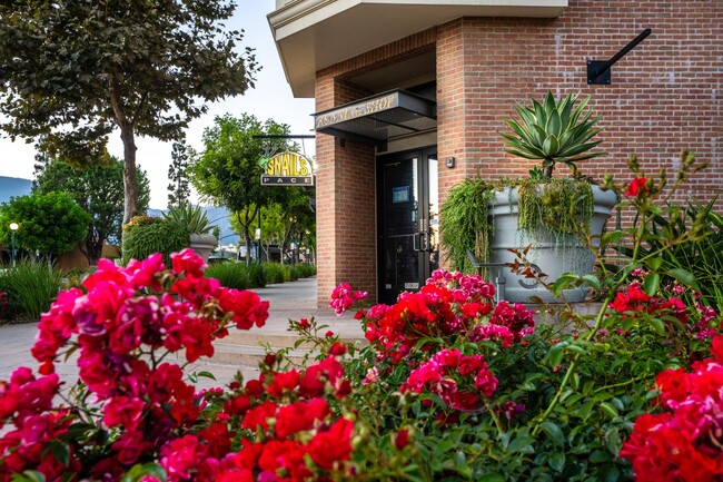 Paragon at Old Town in Monrovia, CA - Foto de edificio - Building Photo