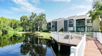 The Pointe at Carrollwood Apartamentos