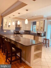 10103 Sterling Terrace in Rockville, MD - Building Photo - Building Photo