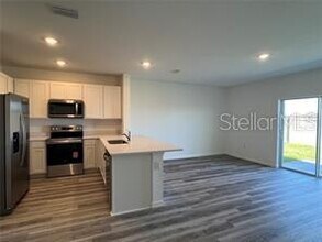 2472 Riversong Ldg Ln in Wesley Chapel, FL - Building Photo - Building Photo