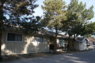 1000 Virbel Ln in Reno, NV - Building Photo - Building Photo