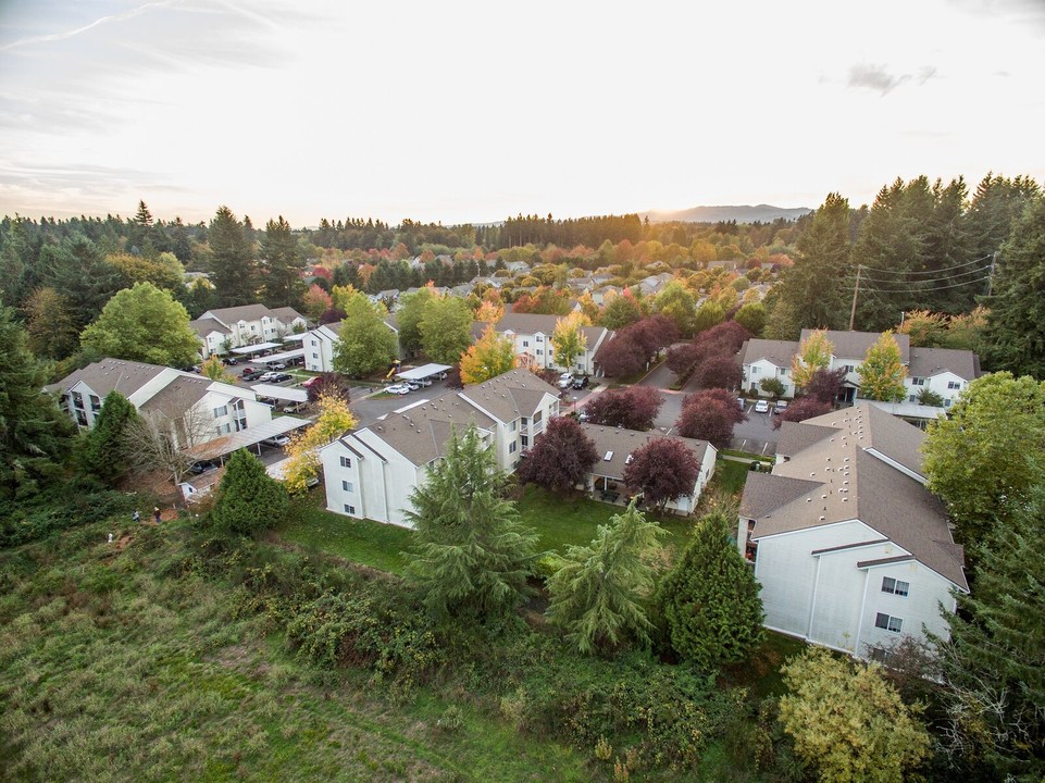 Ashwood Downs Apartments in Olympia, WA - Building Photo