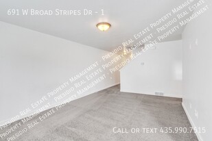 691 Broad Stripes Dr