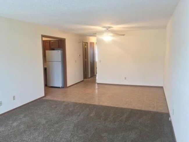 1017 S Lexington Ave in Springfield, MO - Building Photo - Building Photo