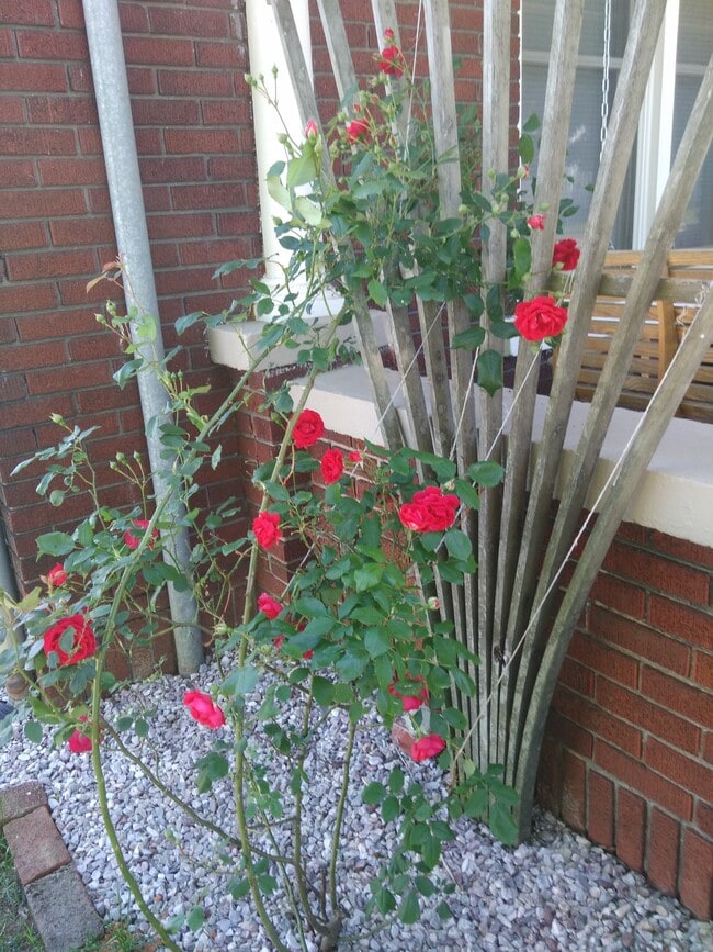 900 Virginia Ave, Unit Apt.1-F