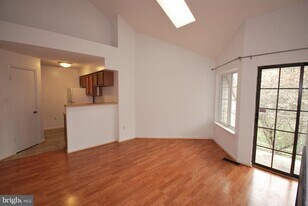 10825 Amherst Ave in Silver Spring, MD - Building Photo