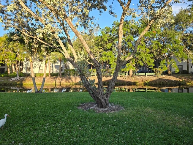 1320 NW 82nd Ave in Plantation, FL - Building Photo - Building Photo