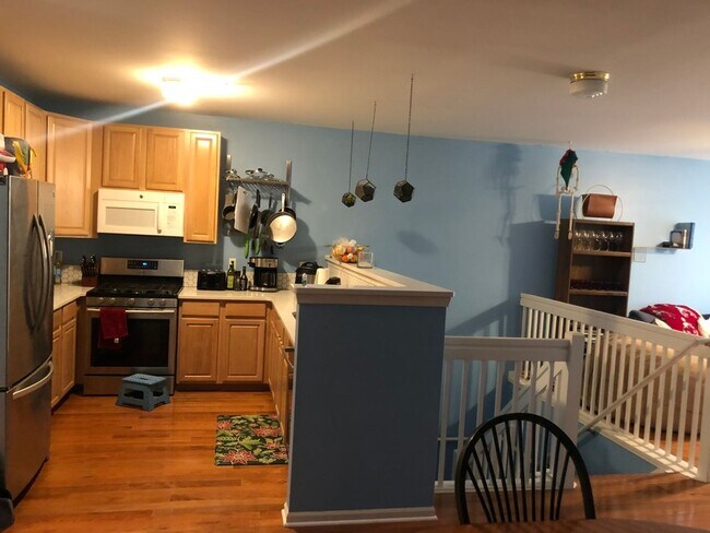 1135 Freesia Ct in Ann Arbor, MI - Building Photo - Building Photo