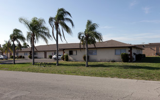 1412 SE 8th Ter in Cape Coral, FL - Building Photo
