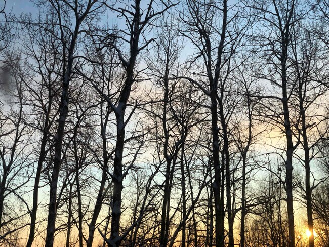 264 Hawk Rd in Fairbanks, AK - Building Photo - Building Photo