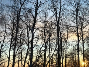 264 Hawk Rd in Fairbanks, AK - Building Photo - Building Photo