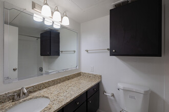 Ashford Court Apartments in Houston, TX - Building Photo - Building Photo