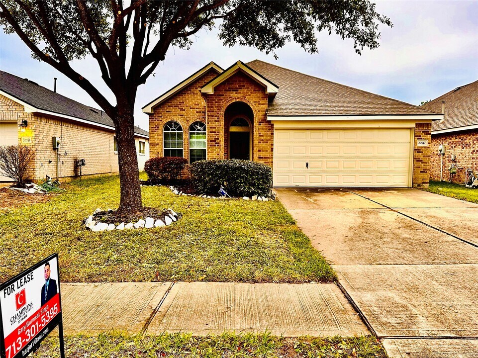 20747 Pine Rain Ct in Katy, TX - Building Photo
